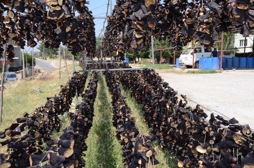 700 kişinin geçim kaynağı