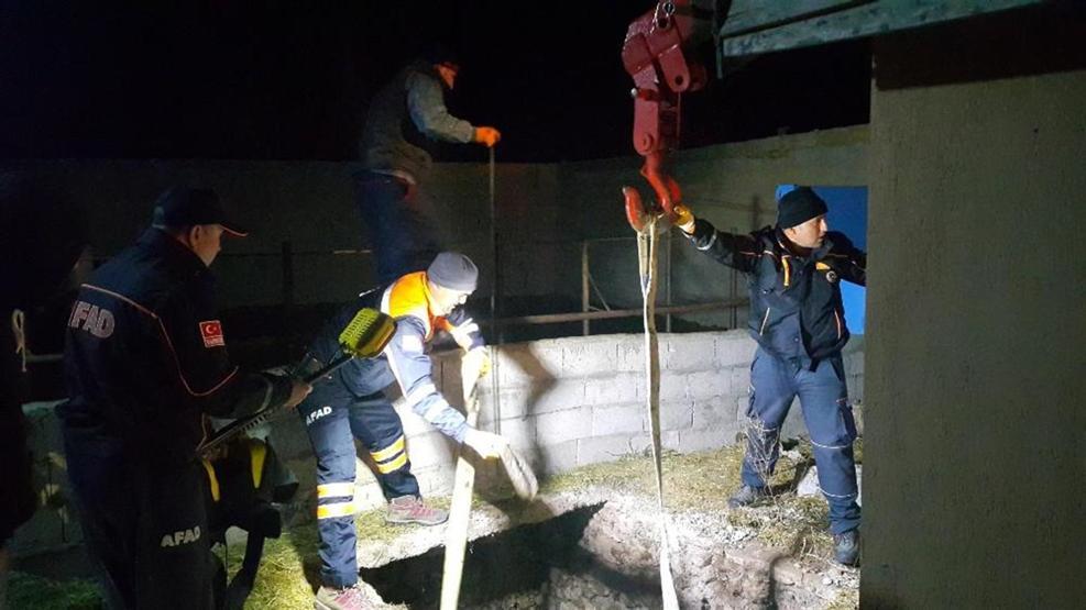 Foseptik çukurunda boğa operasyonu
