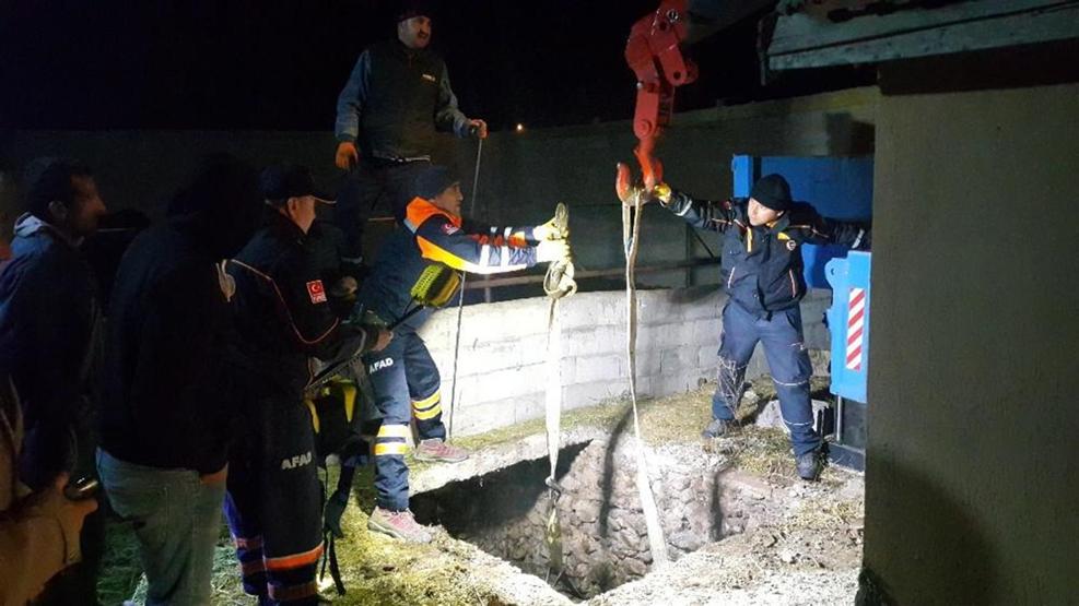 Foseptik çukurunda boğa operasyonu