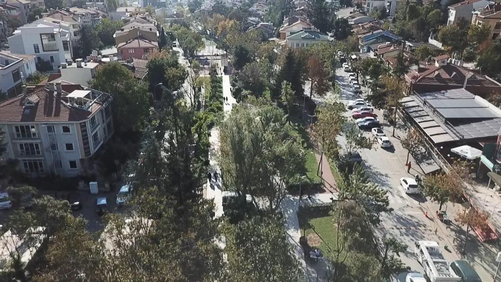 Dolu ve fırtınanın zarar verdiği ağaçlar yenilendi ama araçların akıbeti belirsiz