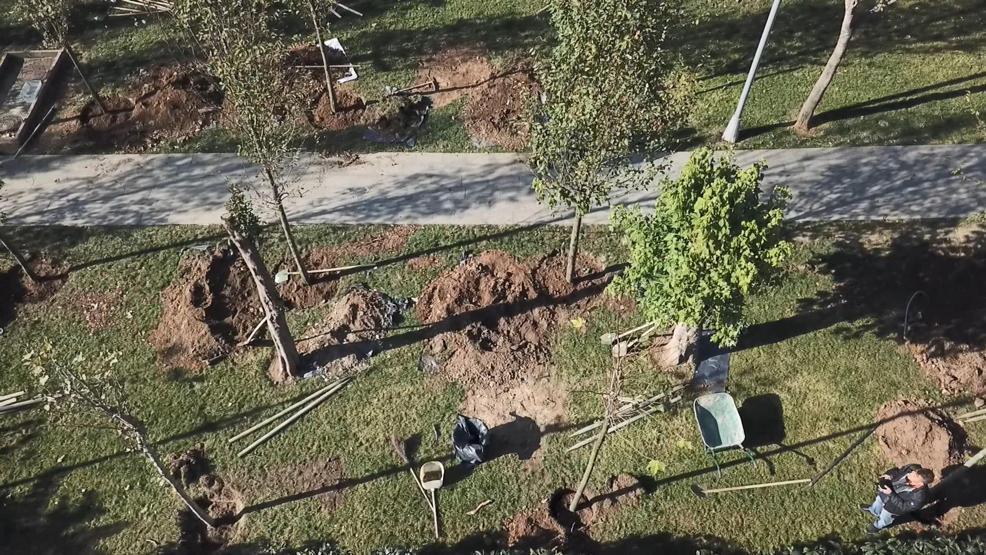 Dolu ve fırtınanın zarar verdiği ağaçlar yenilendi ama araçların akıbeti belirsiz