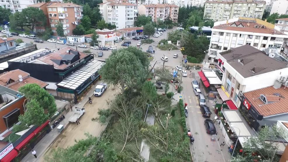 Dolu ve fırtınanın zarar verdiği ağaçlar yenilendi ama araçların akıbeti belirsiz