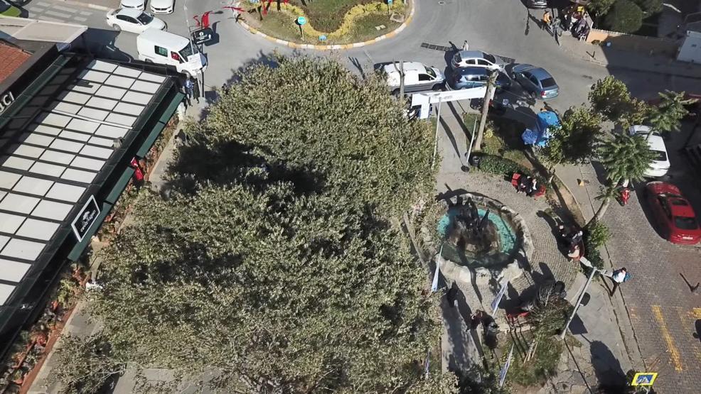 Dolu ve fırtınanın zarar verdiği ağaçlar yenilendi ama araçların akıbeti belirsiz
