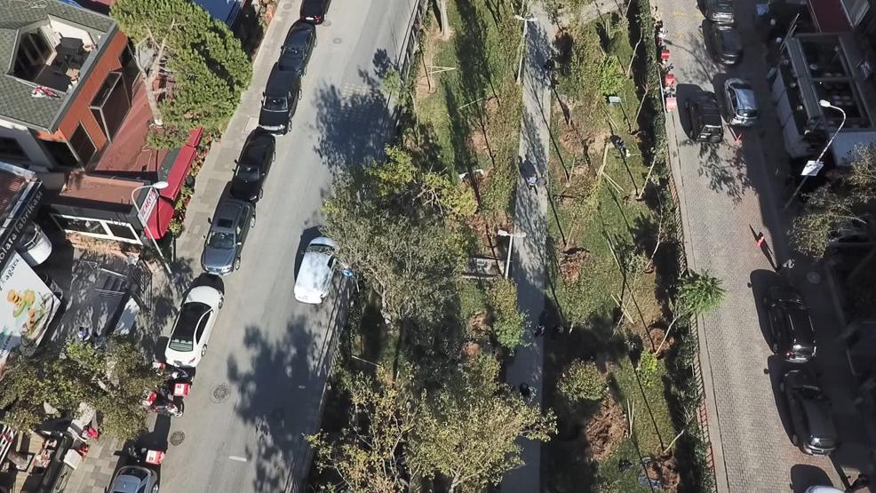 Dolu ve fırtınanın zarar verdiği ağaçlar yenilendi ama araçların akıbeti belirsiz