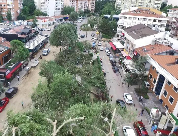 Dolu ve fırtınanın zarar verdiği ağaçlar yenilendi ama araçların akıbeti belirsiz