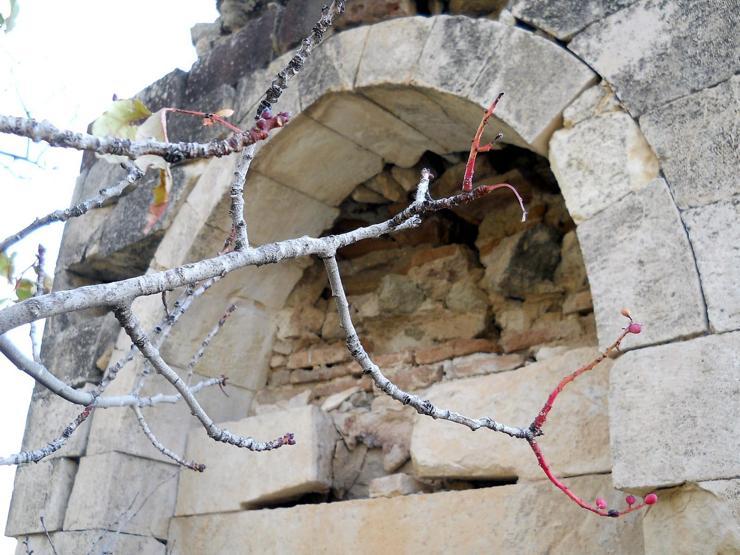 Kayıp tarihi kitabe Tuncelide tesadüfen bulundu