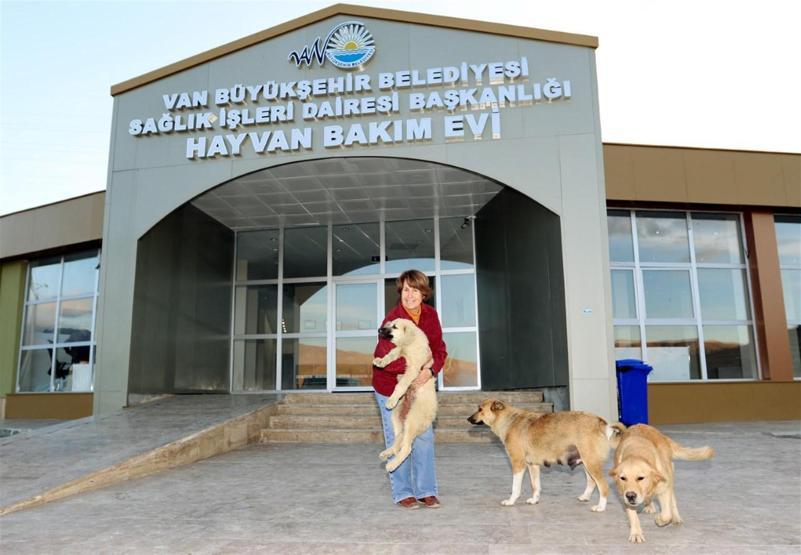 İşkence gören köpeği almak için İzmirden Vana gitti