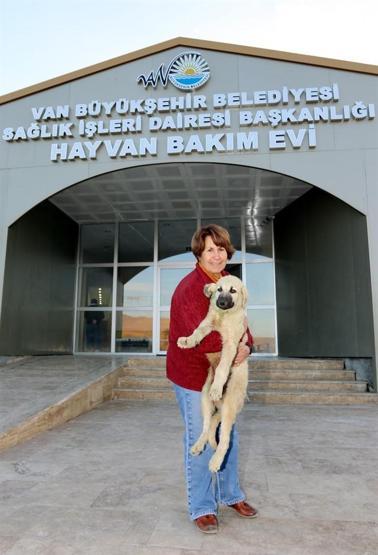 İşkence gören köpeği almak için İzmirden Vana gitti