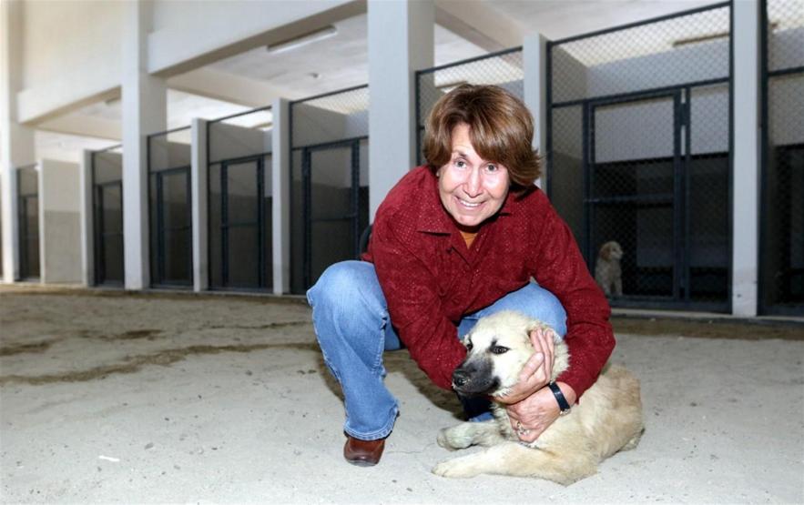 İşkence gören köpeği almak için İzmirden Vana gitti