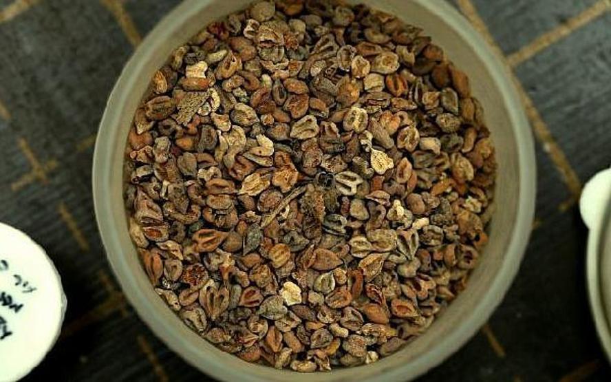 Bin yıllık yemek fosilleri bulundu