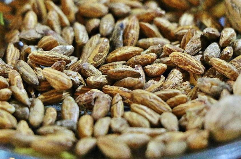 Zeytinin her gün yeni bir mucizesi keşfediliyor