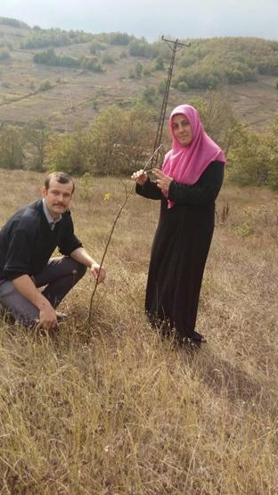 Kadın çiftçinin kuşburnu üretim projesine bakanlık hibesi