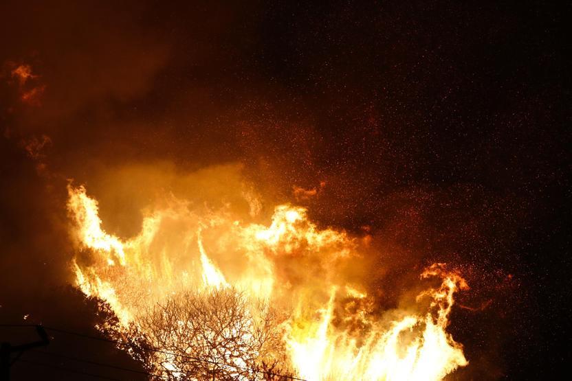 Californiyadaki yangın yayılmaya devam ediyor: 200 bin kişi tahliye edildi