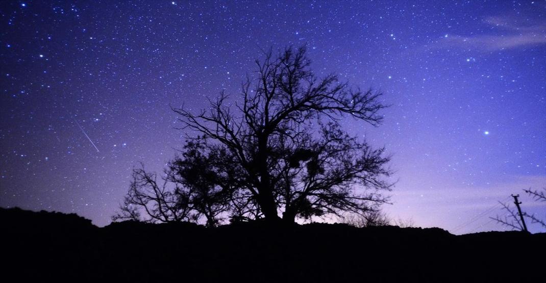 Meteor yağmuru görsel şölene dönüştü