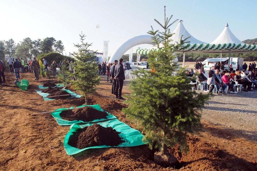 Haluk Levent ve Bakan Eroğlu şarkı söyleyerek fidan dikti