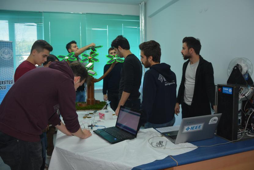 Bu ağaçlar meyve değil elektrik verecek