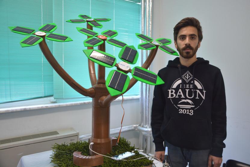 Bu ağaçlar meyve değil elektrik verecek