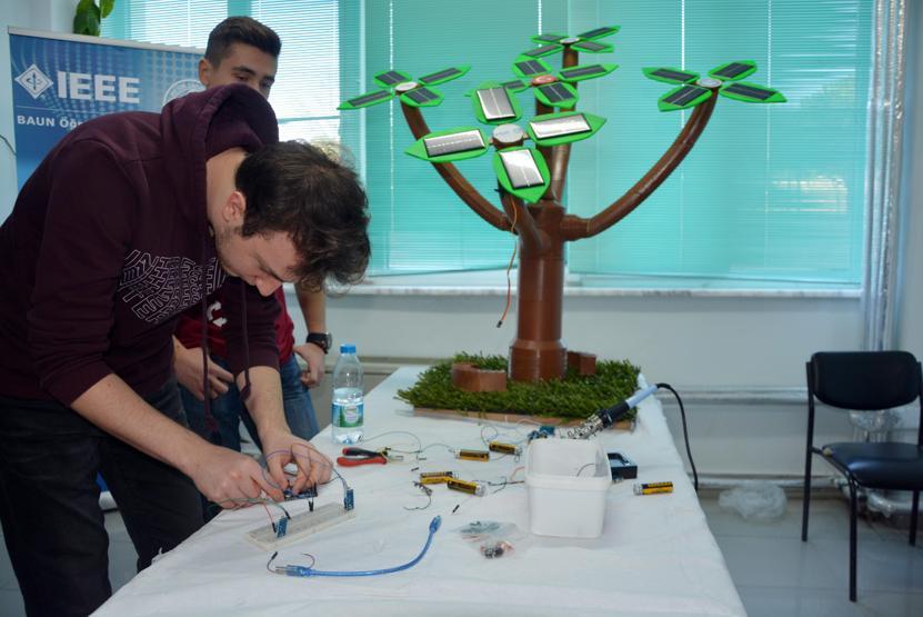 Bu ağaçlar meyve değil elektrik verecek