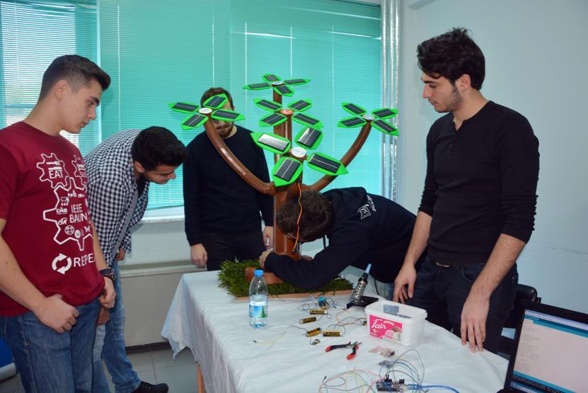 Bu ağaçlar meyve değil elektrik verecek