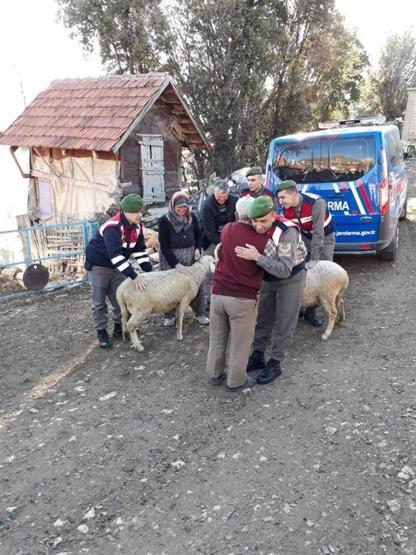 Yaşlı adamın hayvanlarına kavuşma mutluluğu