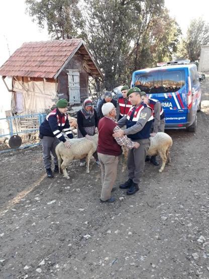 Yaşlı adamın hayvanlarına kavuşma mutluluğu
