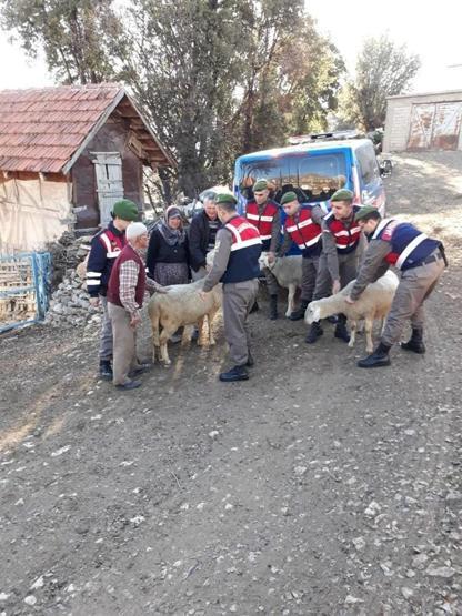 Yaşlı adamın hayvanlarına kavuşma mutluluğu