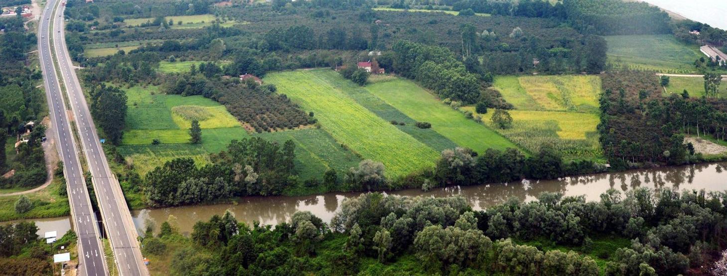 Beyaz çemberli kadınlar kazandı: Danıştay, Termede termik santrale dur dedi
