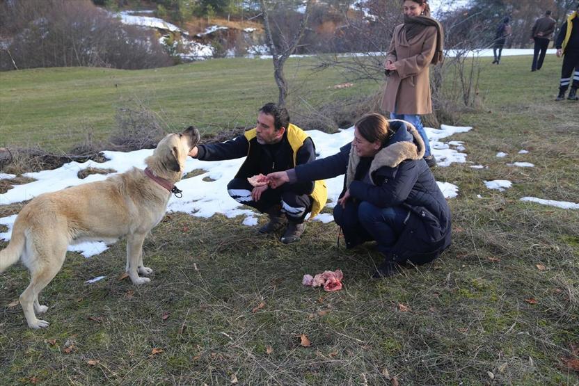 Haber alınamayan ailenin köpekleri barınakta