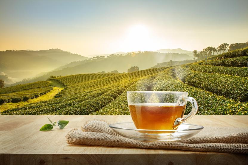 Çay-Kur’un Almanya fiyatı sosyal medyayı salladı
