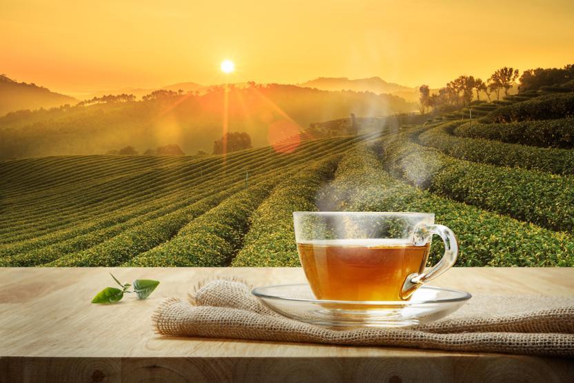Çay-Kur’un Almanya fiyatı sosyal medyayı salladı
