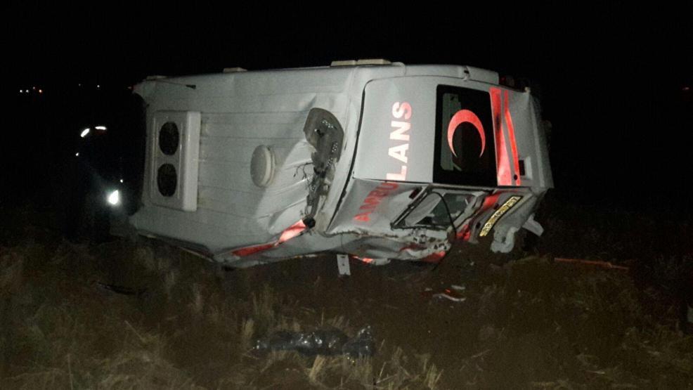 Domuza çarpan ambulans şarampole devrildi