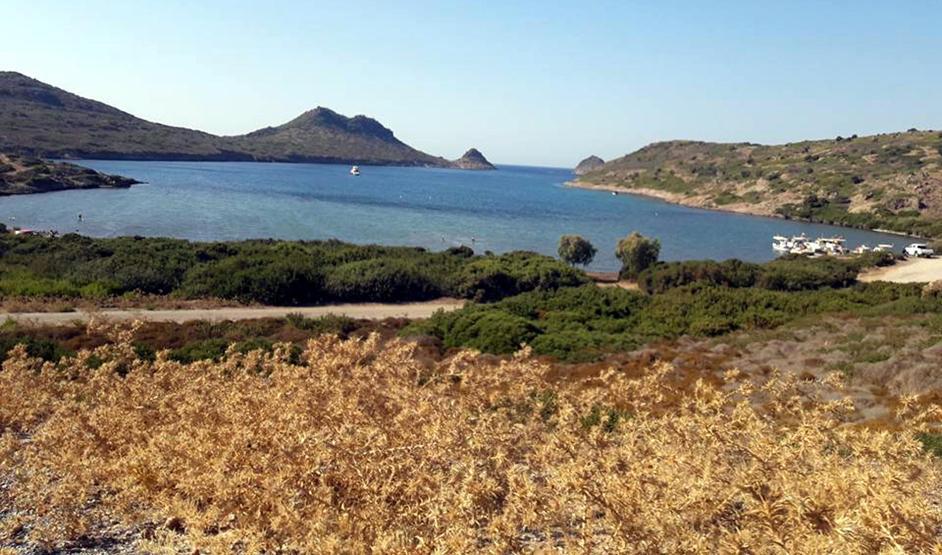 Bodrumda meralar halka kalsın eylemi
