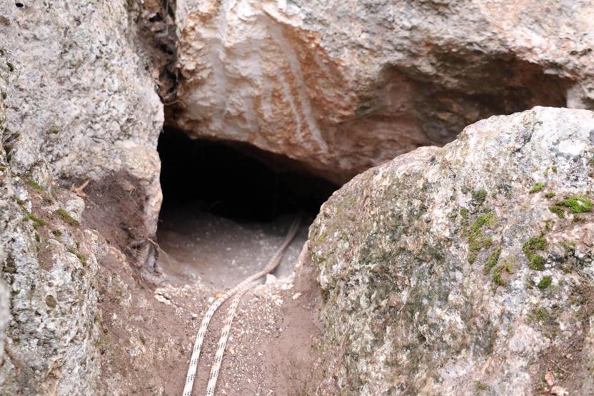 Kirpinin peşinden girdiği kayalıkta sıkışan köpek üç gündür mahsur