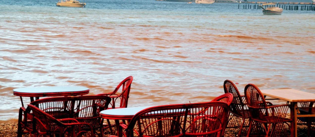 Gözde tatil beldesinde denizin rengi değişti