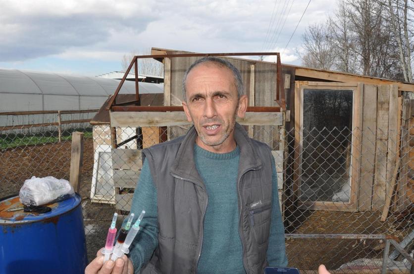 Yavru köpeklerini çalanı bulana otomobilini hediye edecek