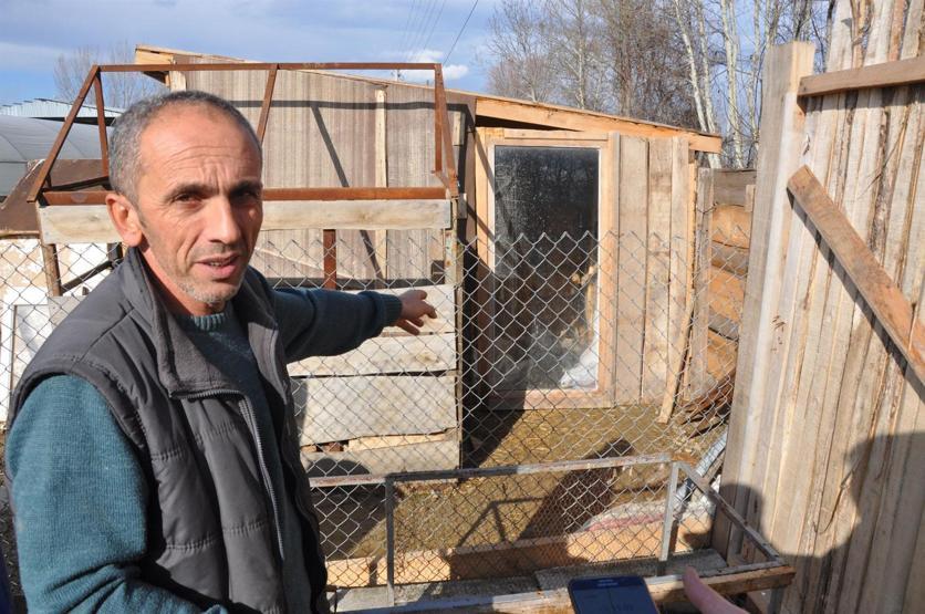 Yavru köpeklerini çalanı bulana otomobilini hediye edecek
