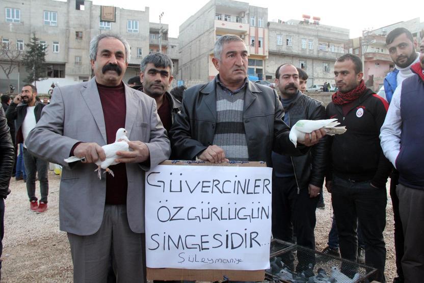 Gökyüzünde güvercin savaşı