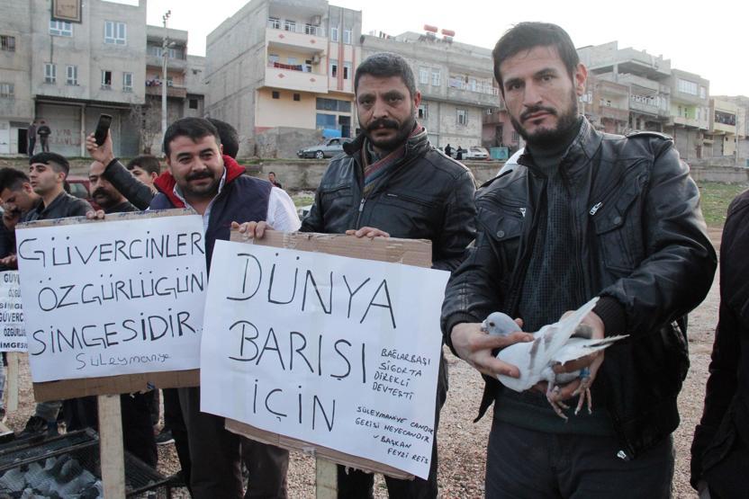 Gökyüzünde güvercin savaşı