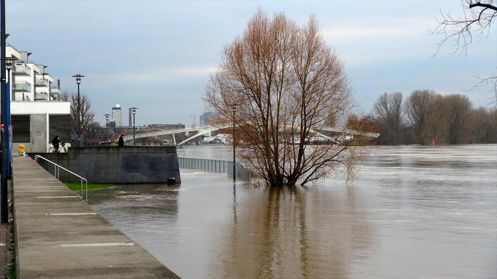 Almanyada Ren Nehri paniği, her saat sular 2 santimetre yükseliyor