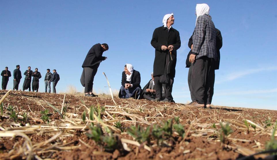 Şanlıurfada çiftçiler, yağmur duasına çıktı