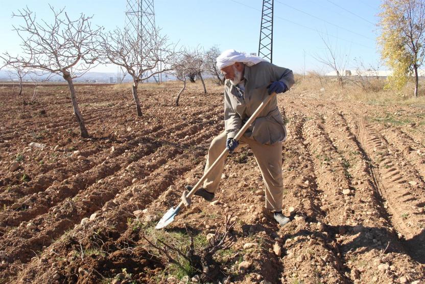 Şanlıurfada çiftçiler, yağmur duasına çıktı