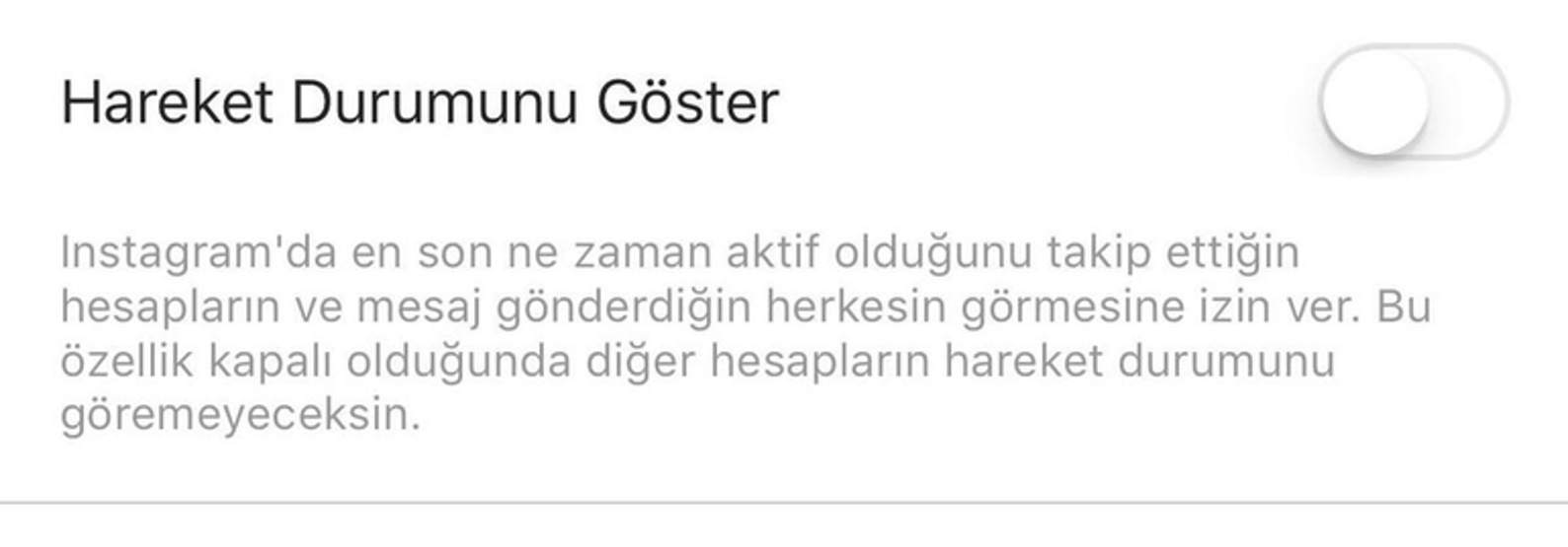 Bundan böyle Instagrama girdiğinizi herkes görecek