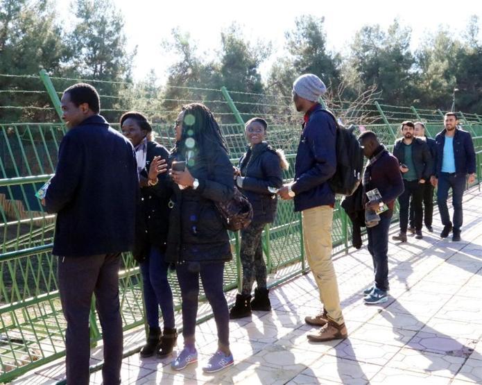Erdoğan’a hediye edilen aslanları tavukla besliyorlar