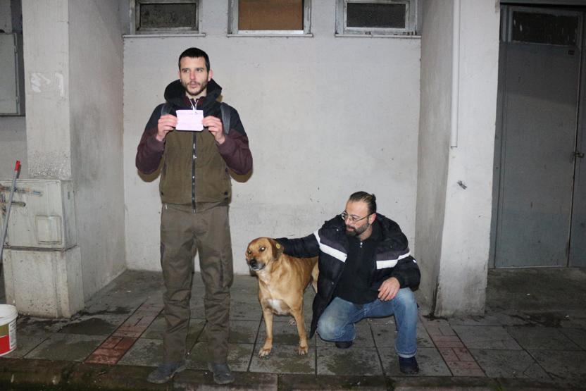 Sokak hayvanlarını beslediler ceza aldılar