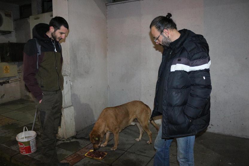 Sokak hayvanlarını beslediler ceza aldılar
