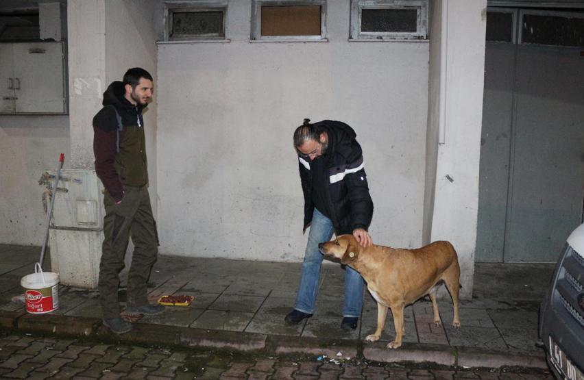 Sokak hayvanlarını beslediler ceza aldılar