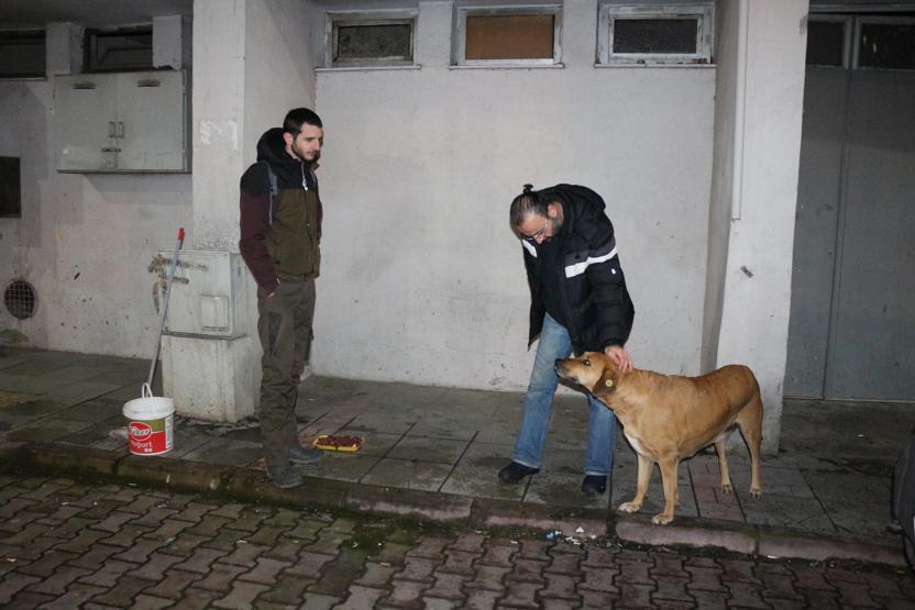 Sokak hayvanlarını beslediler ceza aldılar