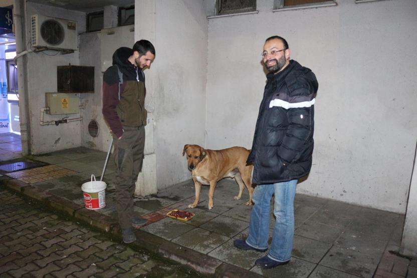 Sokak hayvanlarını beslediler ceza aldılar