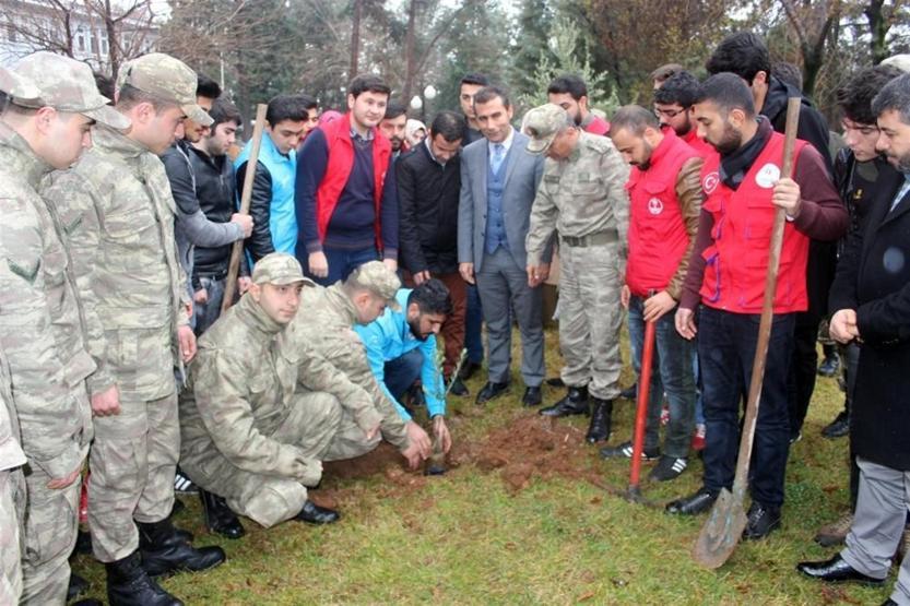 Genç kızlar Afrinde savaşmak için dilekçe verdi