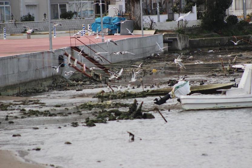 Yalova Çınarcıkta deniz suyu 10 metre çekildi